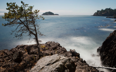 How to Travel Mindfully in Sooke